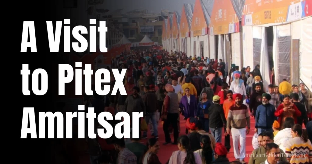 pitex amritsar