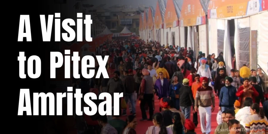 pitex amritsar
